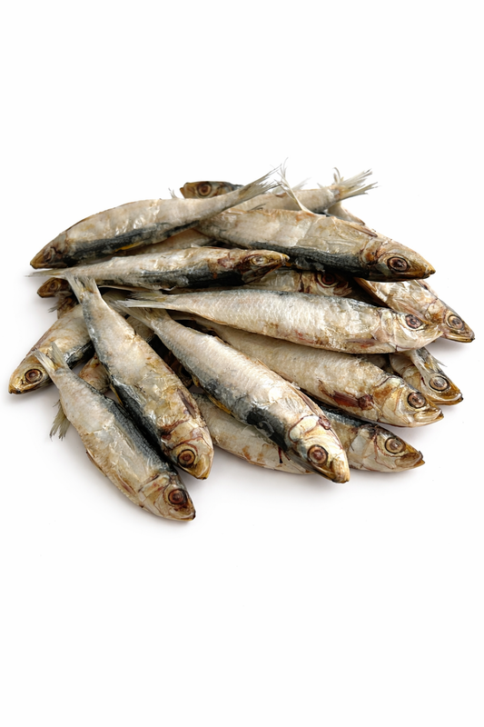 Sardines