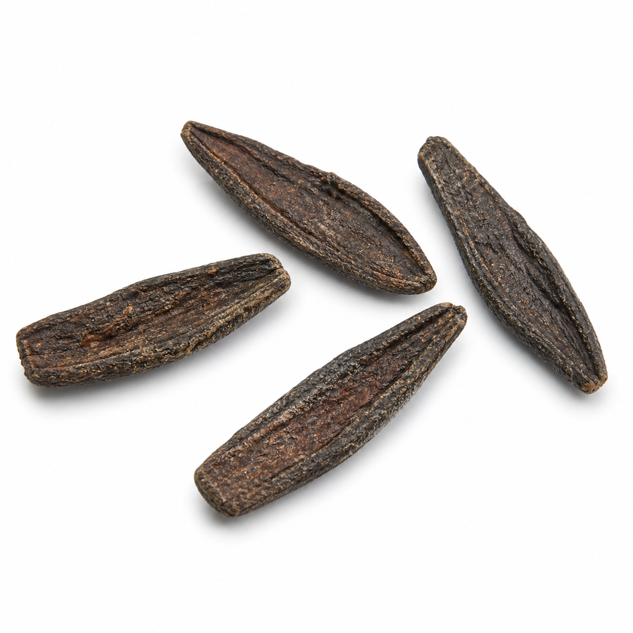 True North Beaver Tail Chews *Limited Quantity*